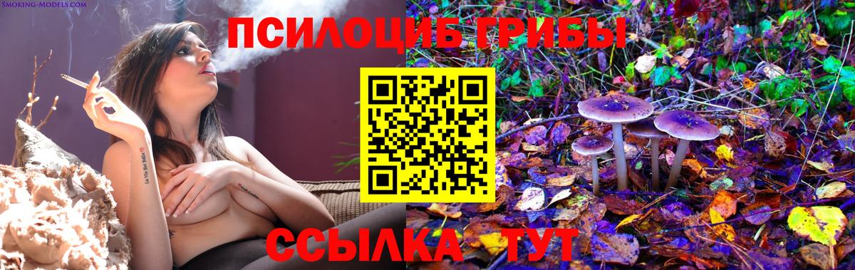 Вичуга  Галлюциногенные грибы MAGIC MUSHROOMS  Вход с VPN 